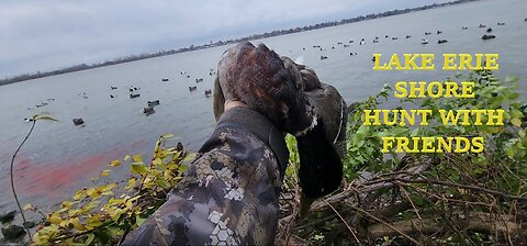 Lake Erie Shore hunt with friends Blue Bill Limits!