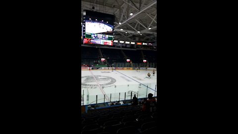 Florida Everblades