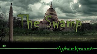 "The Swamp" by WhiteNoise