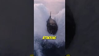 Orcas ATTACKING and SINKING Boats ☠️