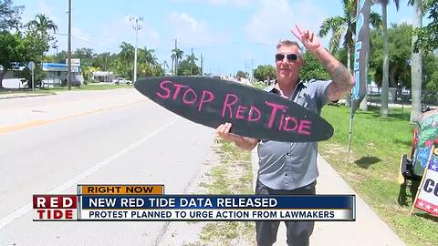 Red tide rally planned from St. Pete to Sarasota