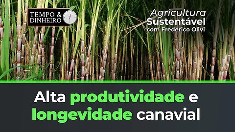 Alta produtividade e longevidade canavial com protocolo Lottus BioSoluções