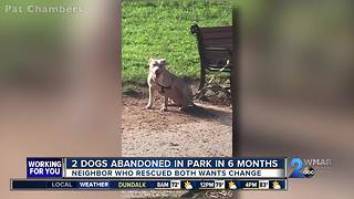 2 dogs abandoned at Baltimore park in 6 months, both rescued by same neighbor