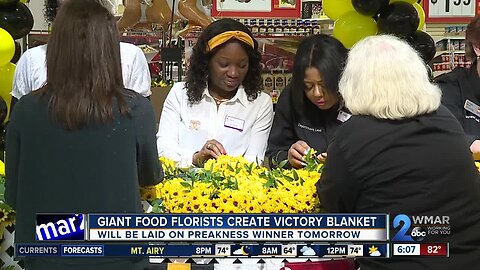Florists at Giant Food create floral blankets for Preakness race winners