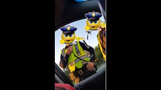 DUI Checkpoint Refusal, CopBlock, Granny wins! (coppertropicals)