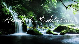 Mindful Meditation- Nature Frequency- 1 HR