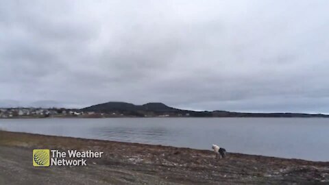 Calm and cloudy day by the water