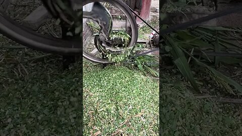 Electric toka machine |grass cutter #ytshorts #subscribe