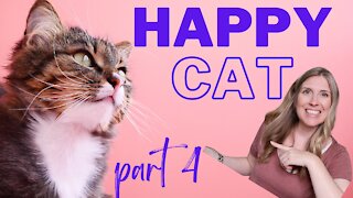 How To Raise A Happy Healthy Cat | Happy Cat Month September 2021, part 4