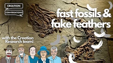 Fast Fossils & Fake Feathers - Creation Conversations