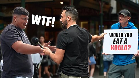 Vegan Provokes Koala Lovers With Controversial Question