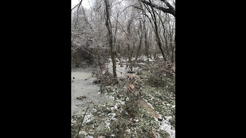 Second Snow Day In Louisiana