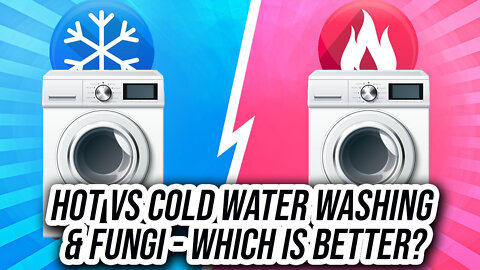 Hot vs Cold Water Washing & Fungi – Which is Better?