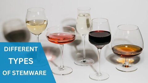 Stemware: The Ultimate Guide to Choosing the Perfect Wine Glass