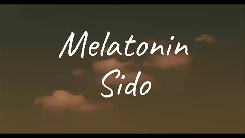 Sido - Melatonin (Lyrics)