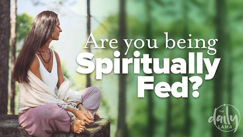 Are You Being Spiritually Fed?