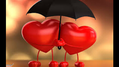 Valentine's Day celebration has begun #love