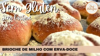 Brioche de Milho com Erva-Doce - Sem Glúten e Sem Lactose