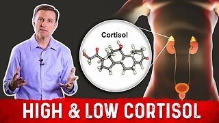 Difference Between Low Cortisol & High Cortisol Symptoms – Dr. Berg