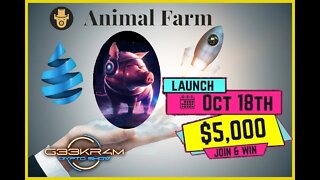 ANIMAL FARM LAUNCHING 18TH OF OCTOBER AT 12PM EST SO IM GETTING READY AND IM IN THERE LIKE SWIMWEAR