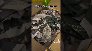 Mystery Toy Unboxing???