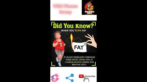 🔥Did you know what happens when you burn fat🔥#fitness🔥#wildfitnessgroup🔥#shorts🔥