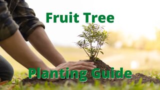 Fruit Tree planting guide