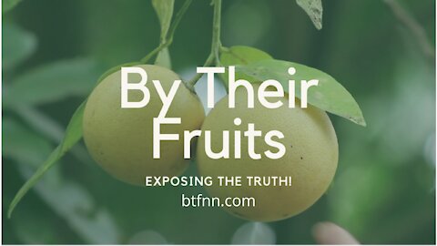 By Their Fruit Ep 1 Connecting the Dots