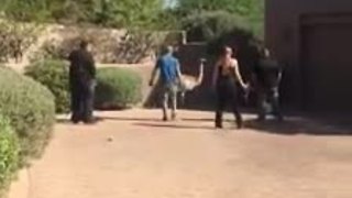 Oro Valley police capture runaway emu