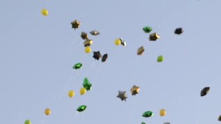Scientist are saying balloon releases are hurting our enviornment