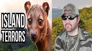 4 Island Animals That Would Terrorize Mainland Ecosystems (Tsuki) - Reaction! (BBT)