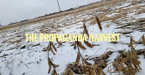Harvest Lies?