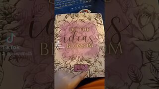 I got the #jozieplanner from Tiktok to help with Writing planning it looks fun!