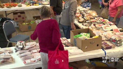 Pinellas County woman distributes unused food from restaurants to people in need