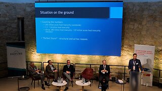 Second Danube Summit on Geopolitics, Security, and Defense - SESSION II