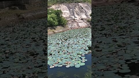 Beautiful place inside Chandragiri fort,#shortvideo,#Chandragirifort,#beautifulplace,#tourvlog