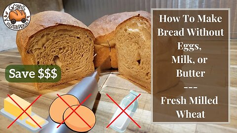 Cheap & Easy Bread Recipe - Make Bread Without Eggs, Milk, or Butter! Fresh Milled Flour Whole Wheat