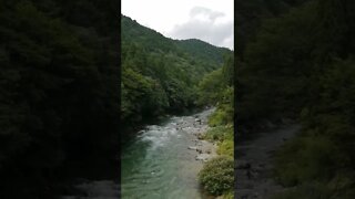 Wonderful Nature #shorts #japan #river