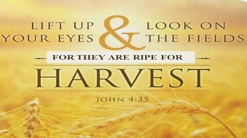 Lift Up Your Eyes, Look , There's A harvest Ready