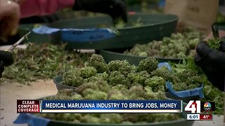 Medical marijuana industry to bring jobs, money