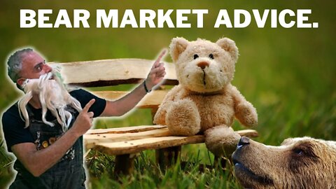 Bear Market Advice: How to Make the Most Out of a Bad Situation