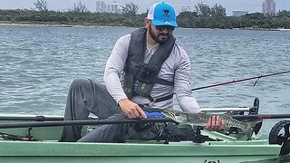 kayak Killer? Crandon Marina, Key Biscayne Skanu Sea Trial and Fishing