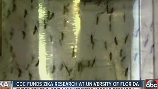 CDC funds Zika research at University of Florida