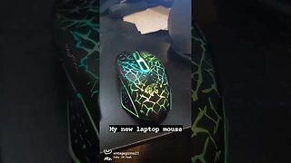 New Mouse