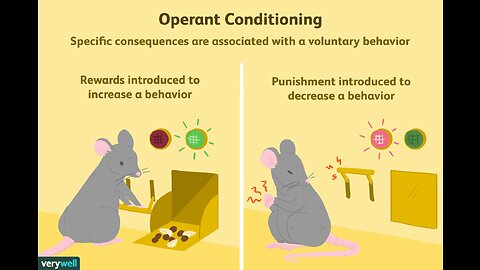 Programming and Conditioning