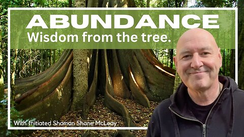 Abundance. Lessons From The Tree With Initiated Shaman Shane McLeay