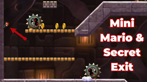 Rock Candy Mines-Tower Grinding-Stone Tower + Mini Mario & Secret Exit (All Star Coins) Super Mario