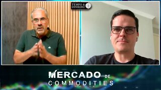 Commodities sem grande volatilidade na reta final de 2022. Soja com oportunidade de hedge