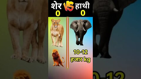 शेर vs हाथी❓|#shorts #viral #youtubeshorts #comedy #trending