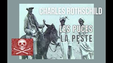 Rothschild, les puces, la peste…